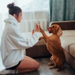 Fabric Rescue Duo Review: Is This Eco-Friendly Laundry Solution Worth the Hype?